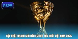 Cập Nhật Nhanh Giải Đấu Esport Lớn Nhất Việt Nam 2026