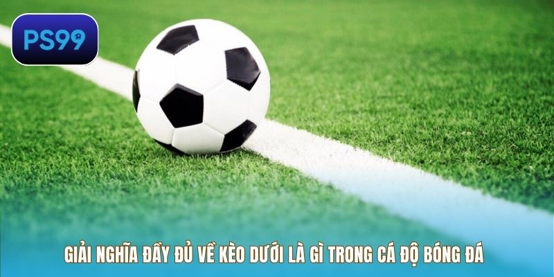 Giải nghĩa đầy đủ về kèo dưới là gì trong cá độ bóng đá