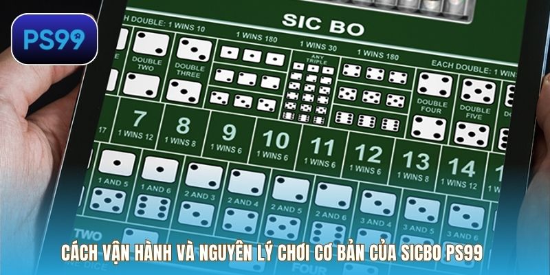 Cách vận hành và nguyên lý chơi cơ bản của Sicbo PS99