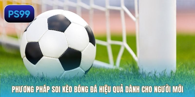 Phương pháp soi kèo bóng đá hiệu quả dành cho người mới
