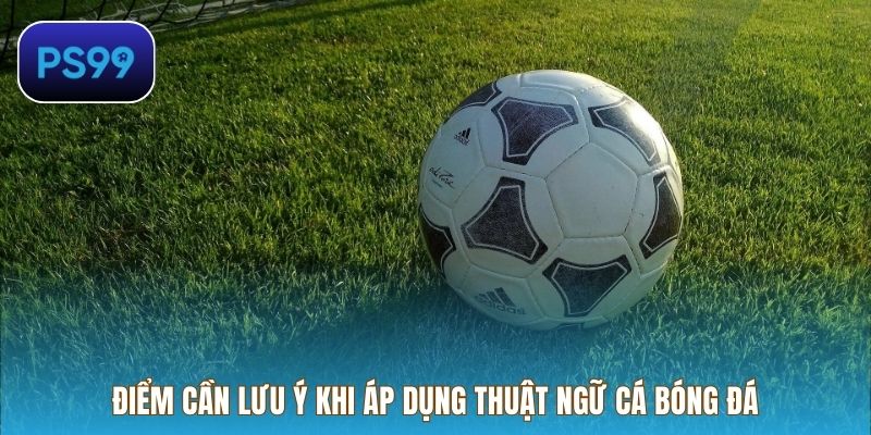 Điểm cần lưu ý khi áp dụng Thuật ngữ cá bóng đá