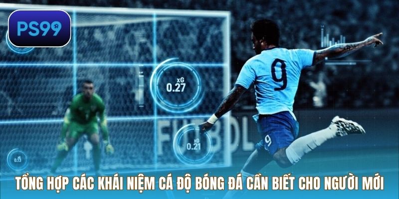 Tổng hợp các khái niệm cá độ bóng đá cần biết cho người mới